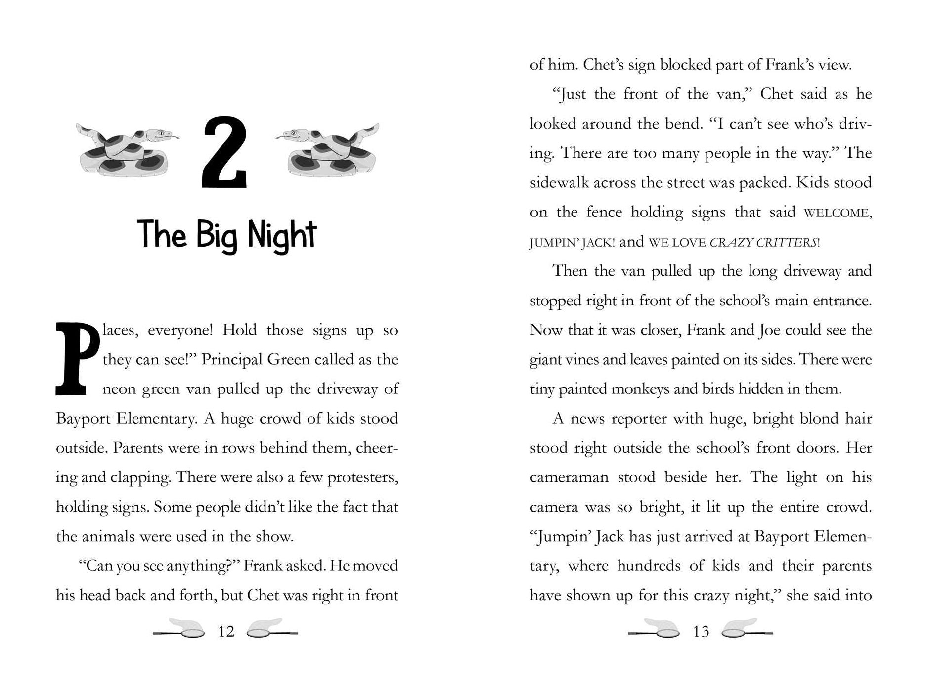The Great Escape (Hardy Boys: Secret Files Series #17)