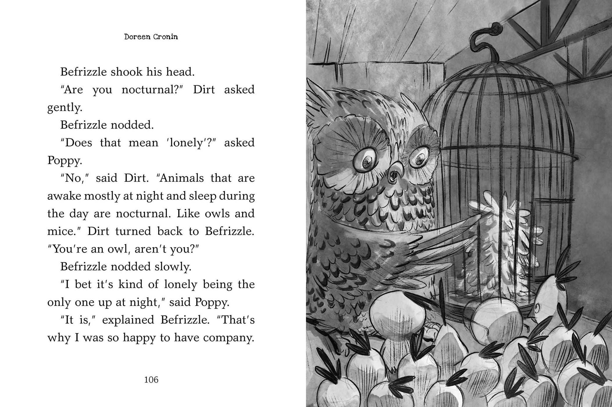 Dark Shadows: Yes, Another Misadventure (Chicken Squad Series #4)