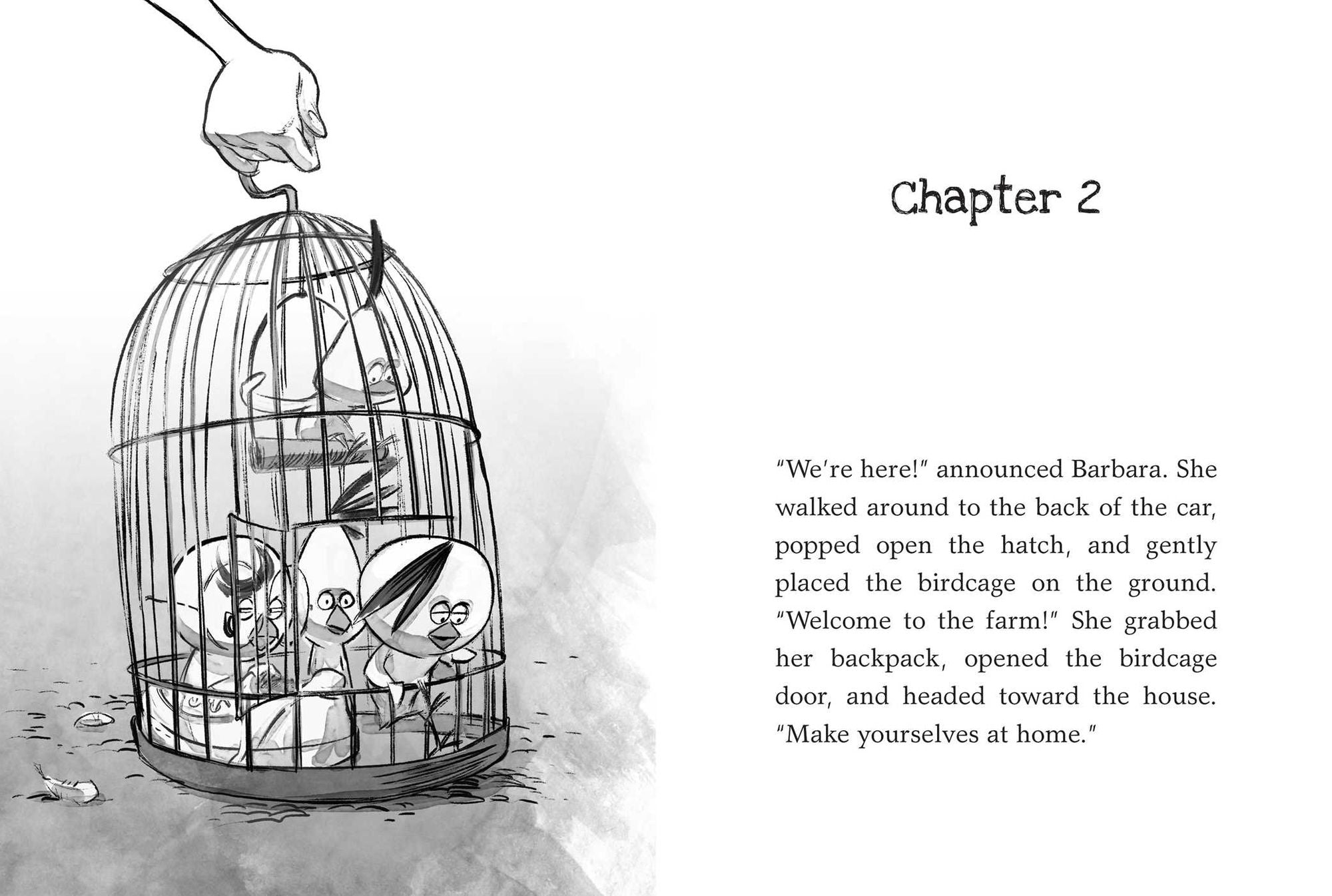 Dark Shadows: Yes, Another Misadventure (Chicken Squad Series #4)