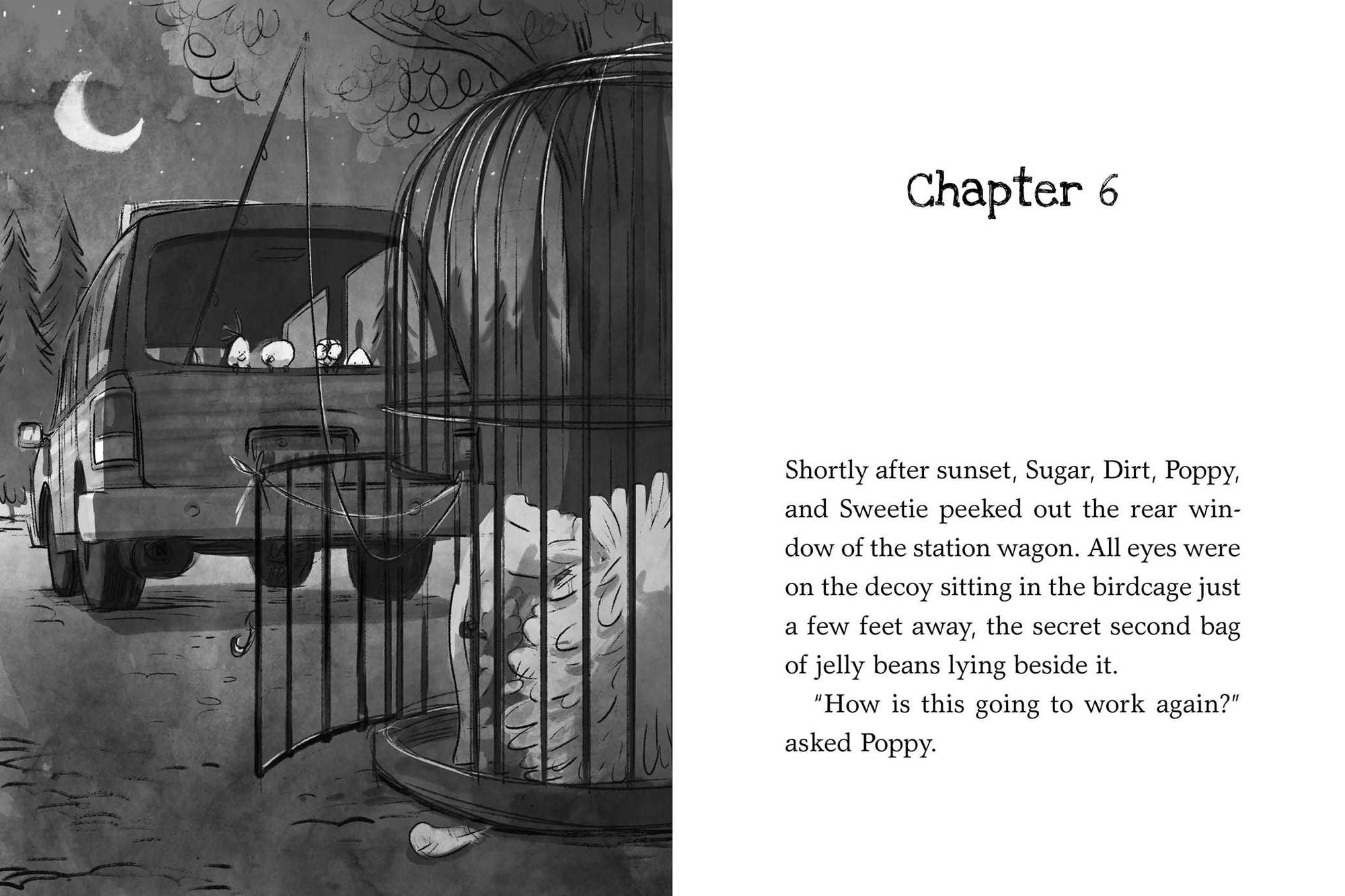 Dark Shadows: Yes, Another Misadventure (Chicken Squad Series #4)