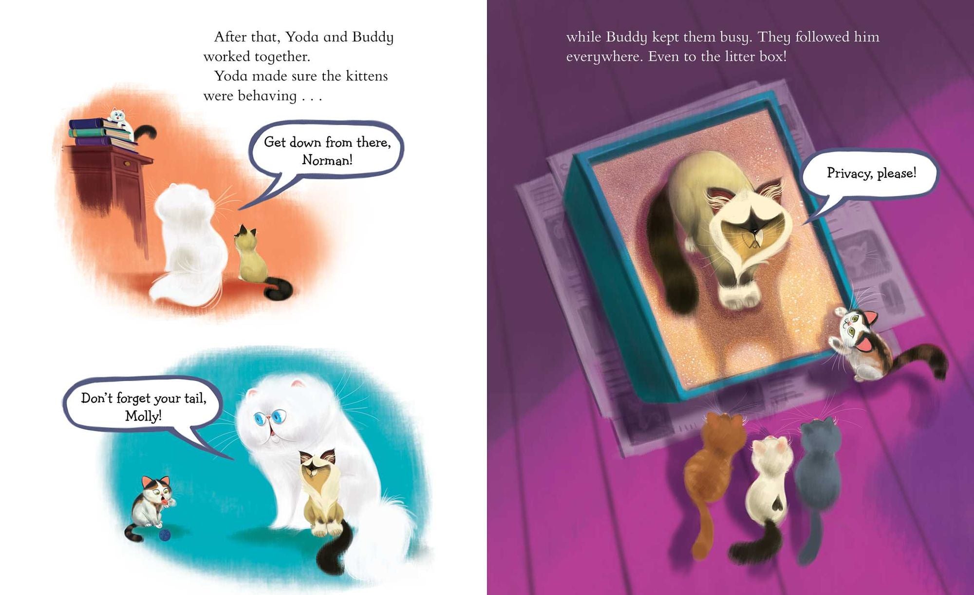 Yoda Gets a Buddy