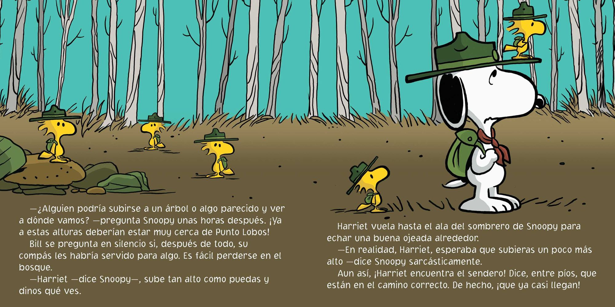 La gran aventura de Snoopy y Woodstock (Snoopy and Woodstock's Great Adventure)