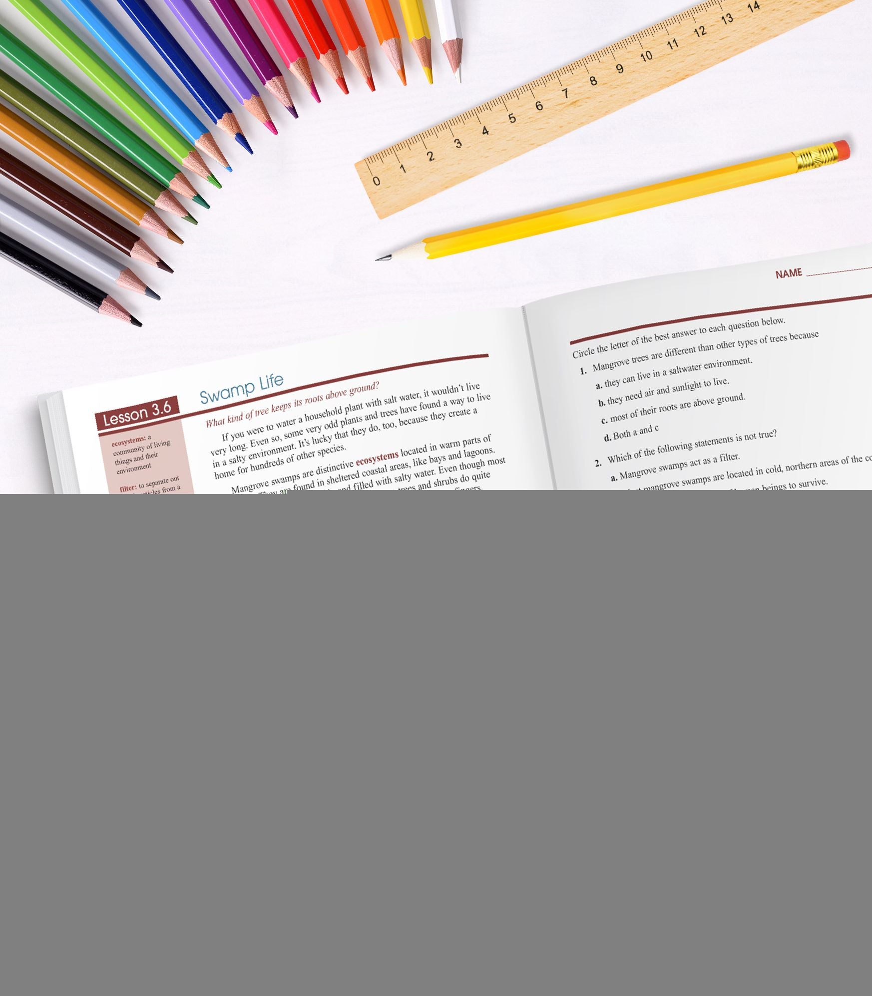 Spectrum Science, Grade 4