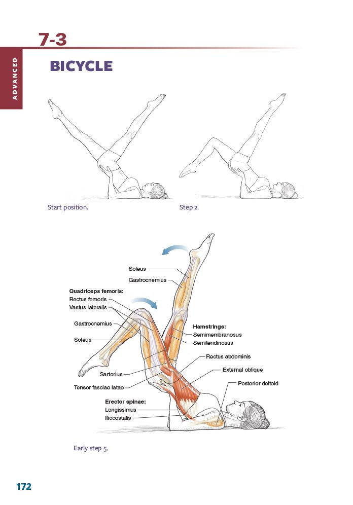 Pilates Anatomy