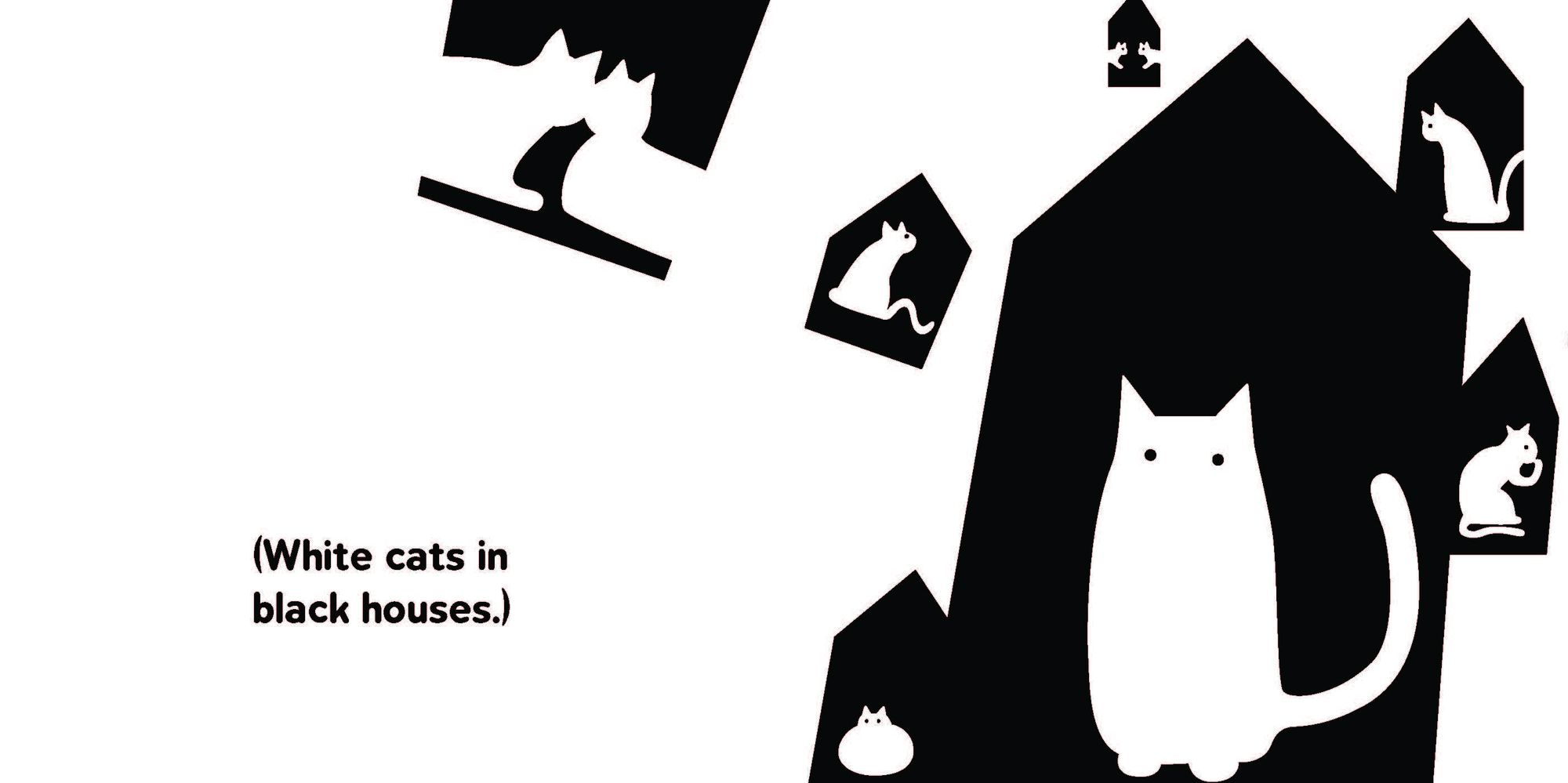 Black Cat & White Cat