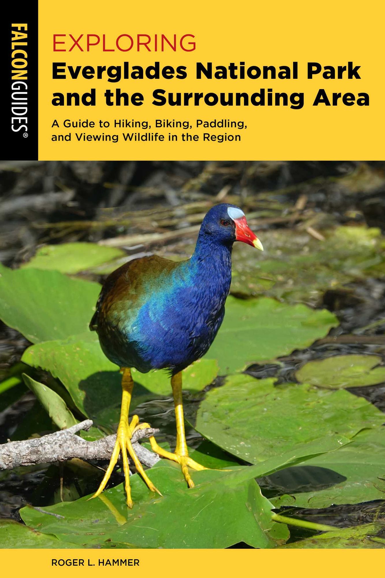 Exploring Everglades National Park and the Surrounding Area: A Guide to Hiking, Biking, Paddling, and Viewing Wildlife in the Region