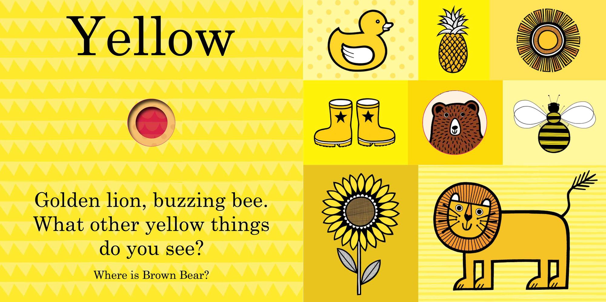 Jane Foster's Brown Bear Color Book