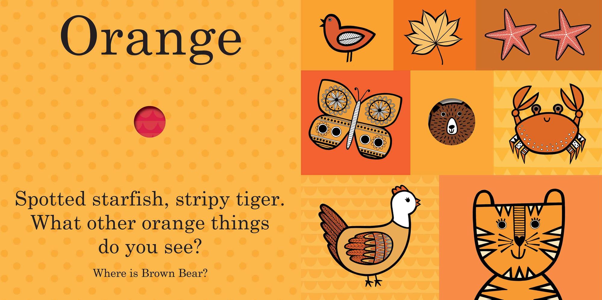 Jane Foster's Brown Bear Color Book
