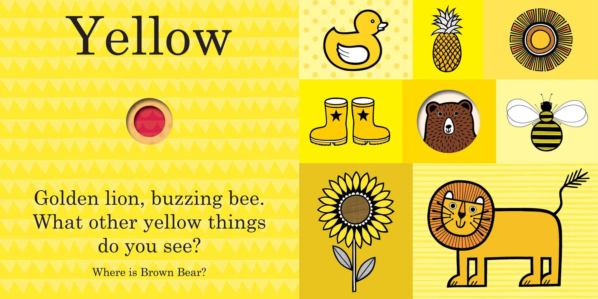 Jane Foster's Brown Bear Color Book