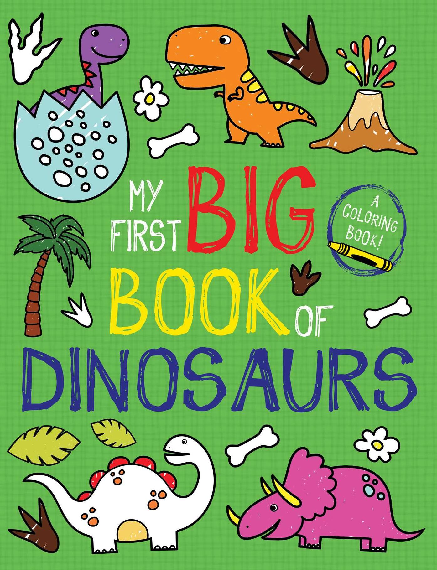 My First Big Book of Dinosaurs