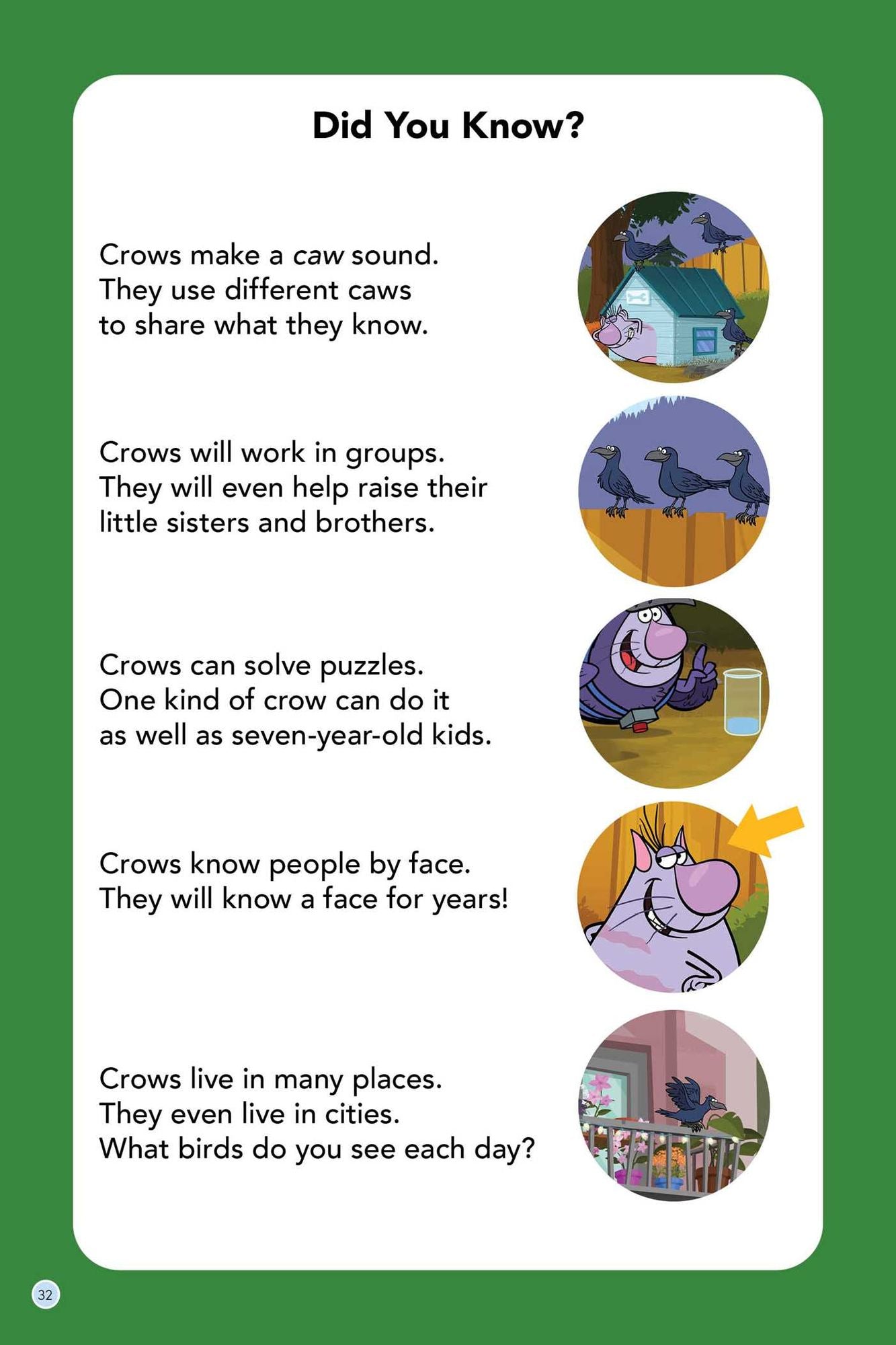 Nature Cat: What Does a Crow Know? (Level Up! Readers): A Beginning Reader Science & Animal Book for Kids Ages 5 to 7