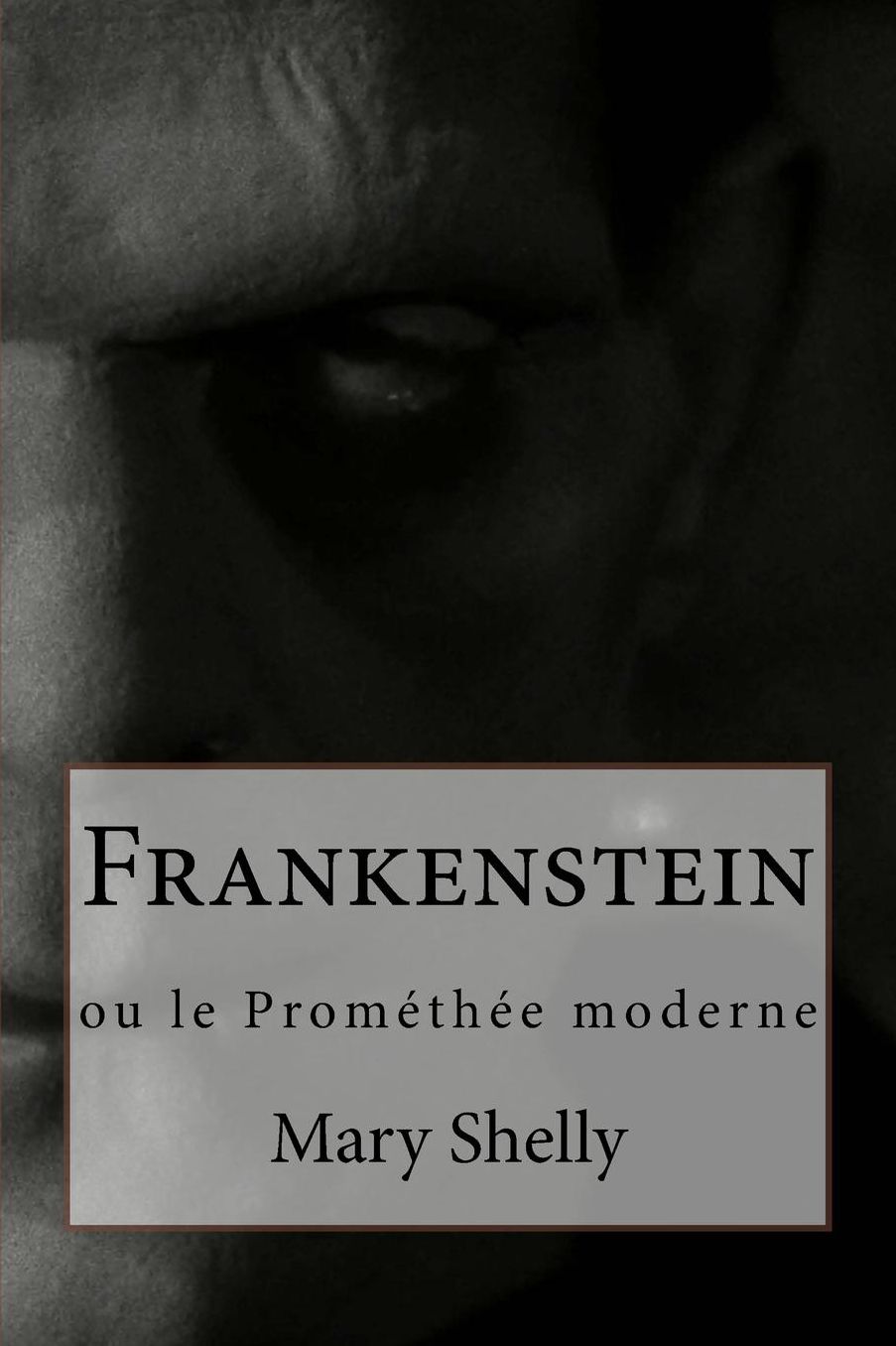 Frankenstein: ou le Prométhée moderne