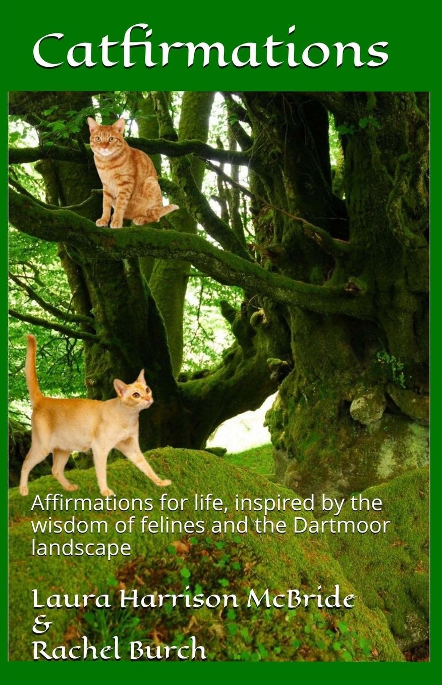 Catfirmations: Affirmations for life, inspired by the wisdom of felines and the Dartmoor landscape