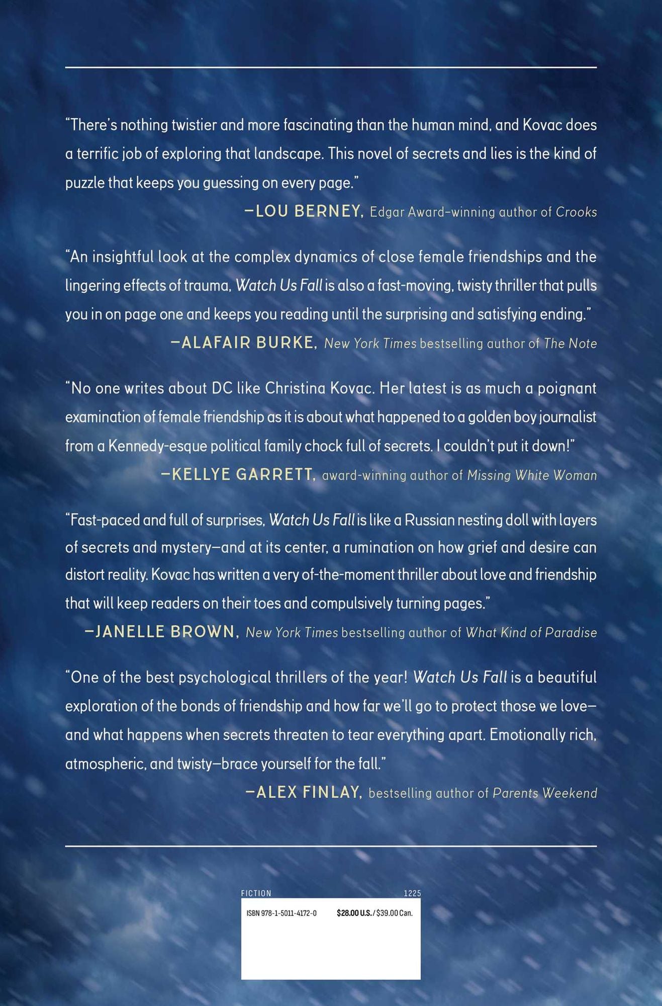 Watch Us Fall: A Novel