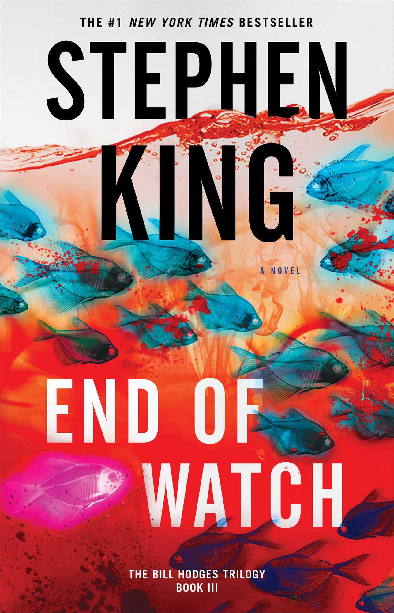End of Watch (Bill Hodges Trilogy #3)