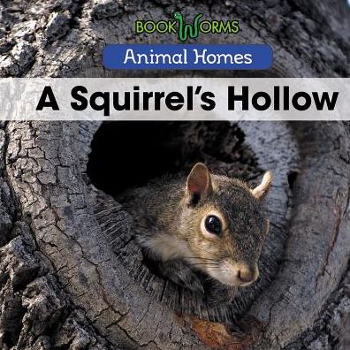 A Squirrel's Hollow