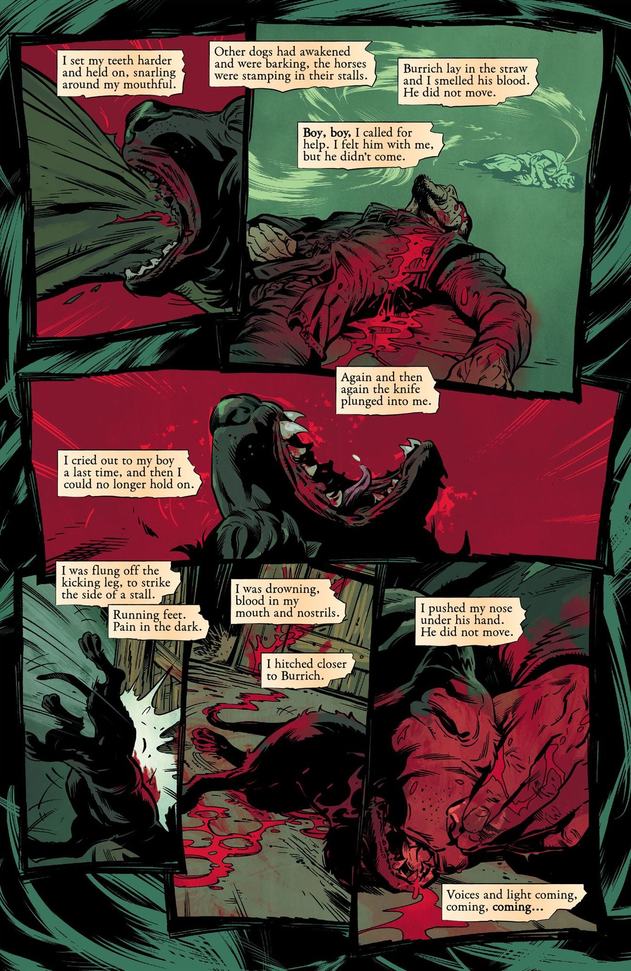 Assassin's Apprentice Volume 3 (Graphic Novel)