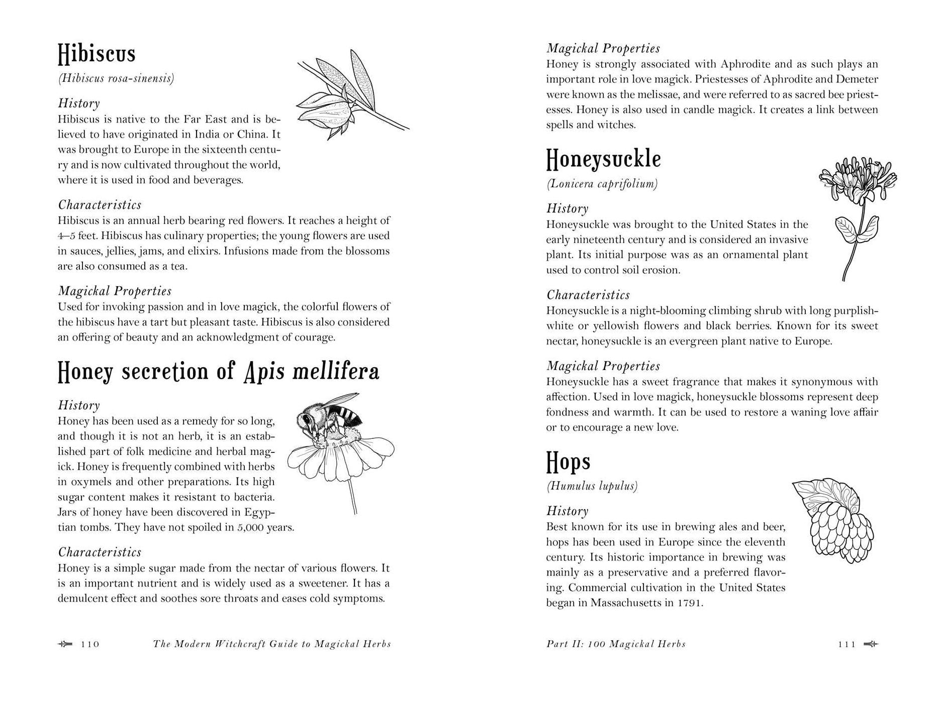 The Modern Witchcraft Guide to Magickal Herbs: Your Complete Guide to the Hidden Powers of Herbs