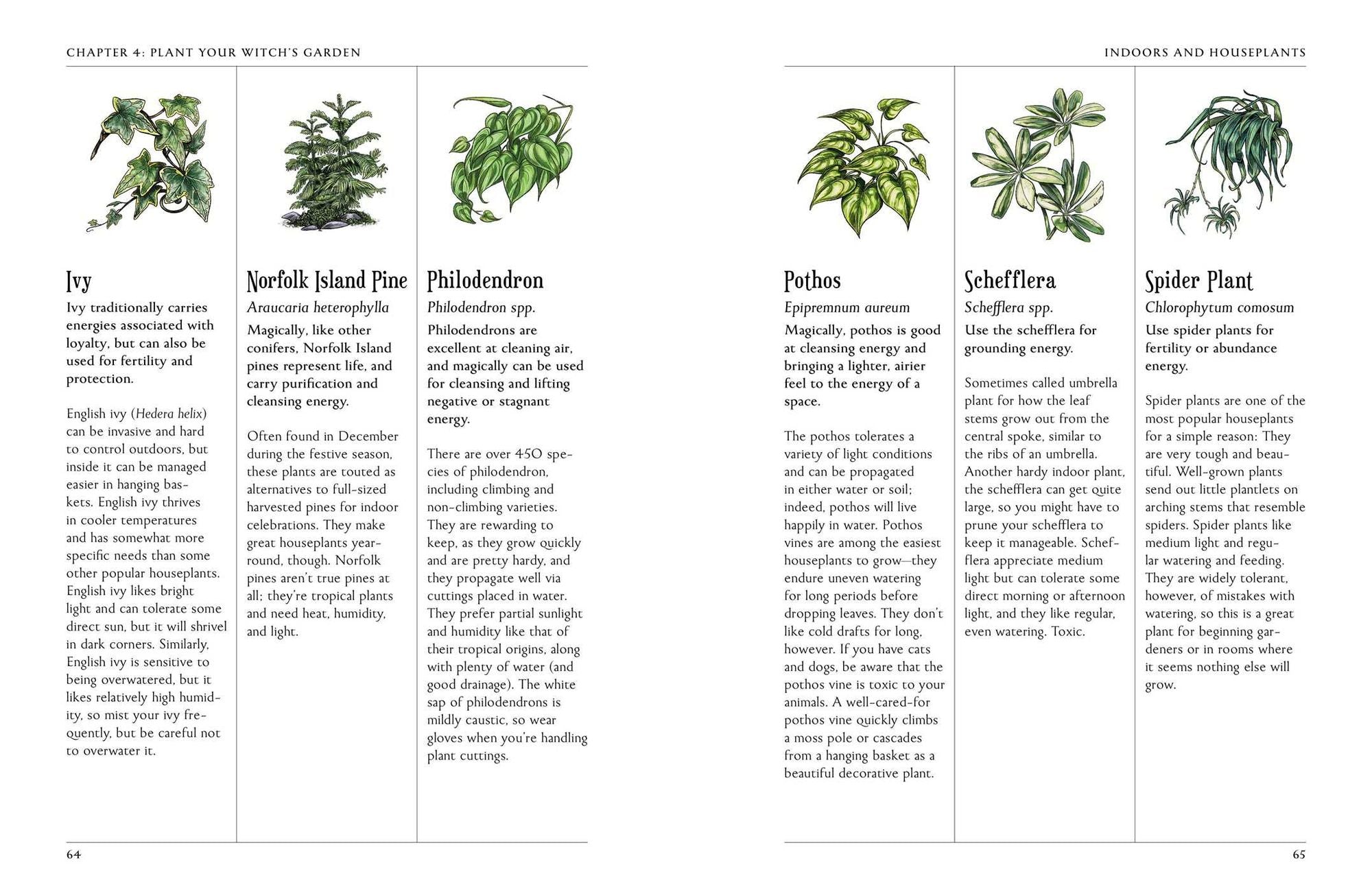 The Green Witch's Garden: Your Complete Guide to Creating and Cultivating a Magical Garden Space