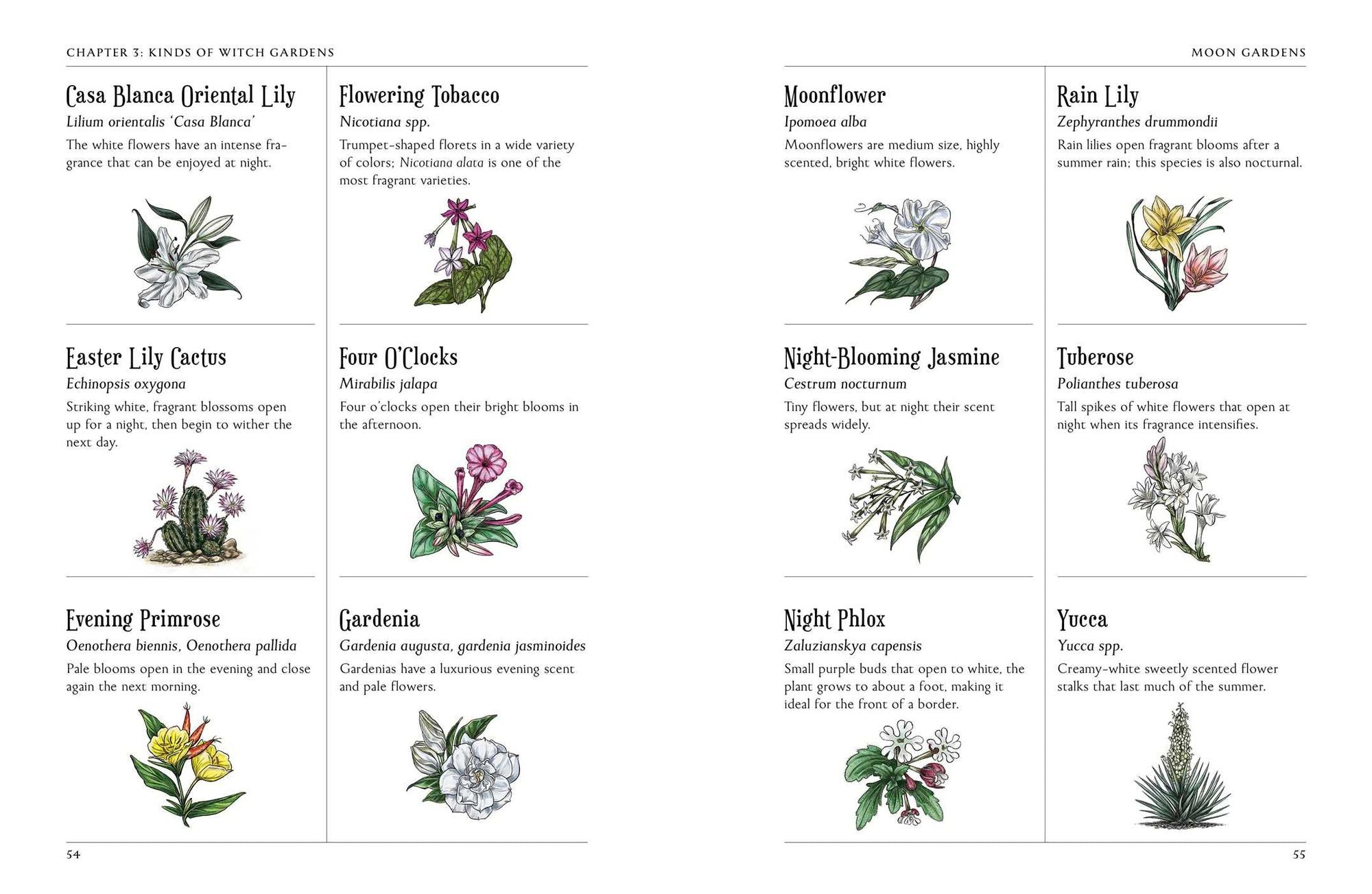 The Green Witch's Garden: Your Complete Guide to Creating and Cultivating a Magical Garden Space