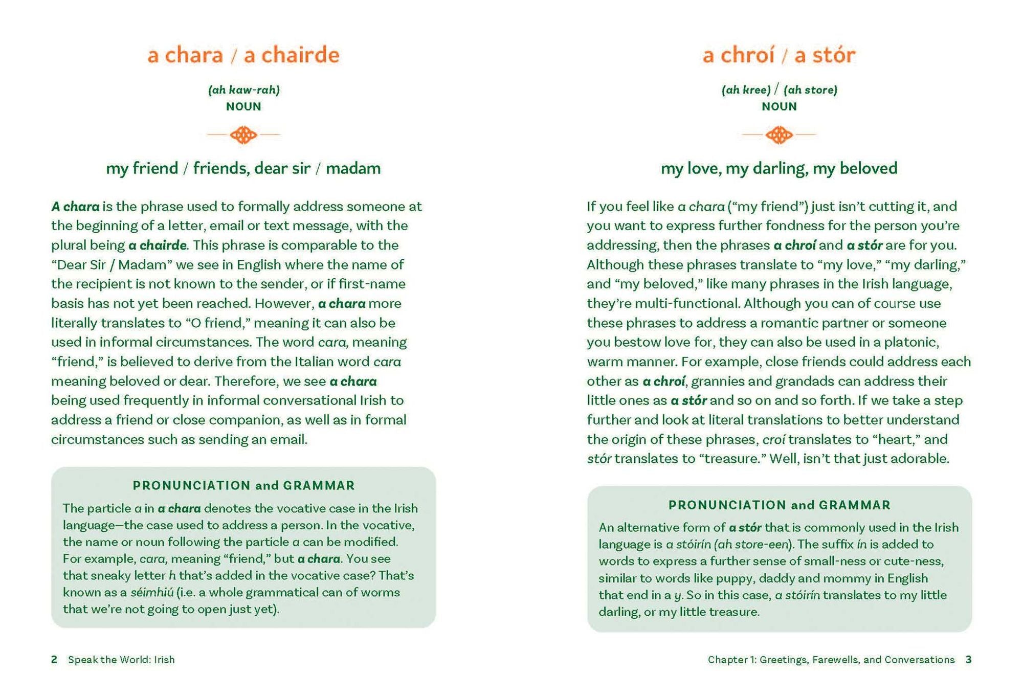 Irish: History & Culture Through Language