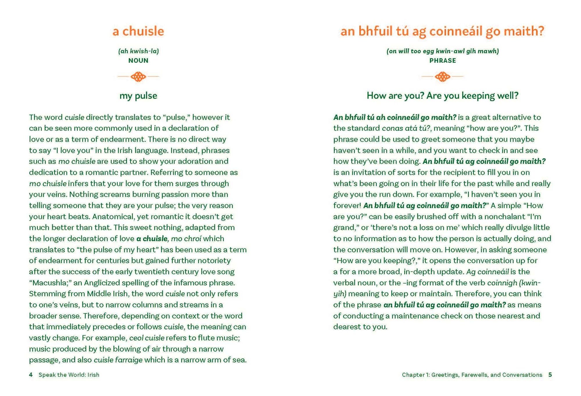 Irish: History & Culture Through Language