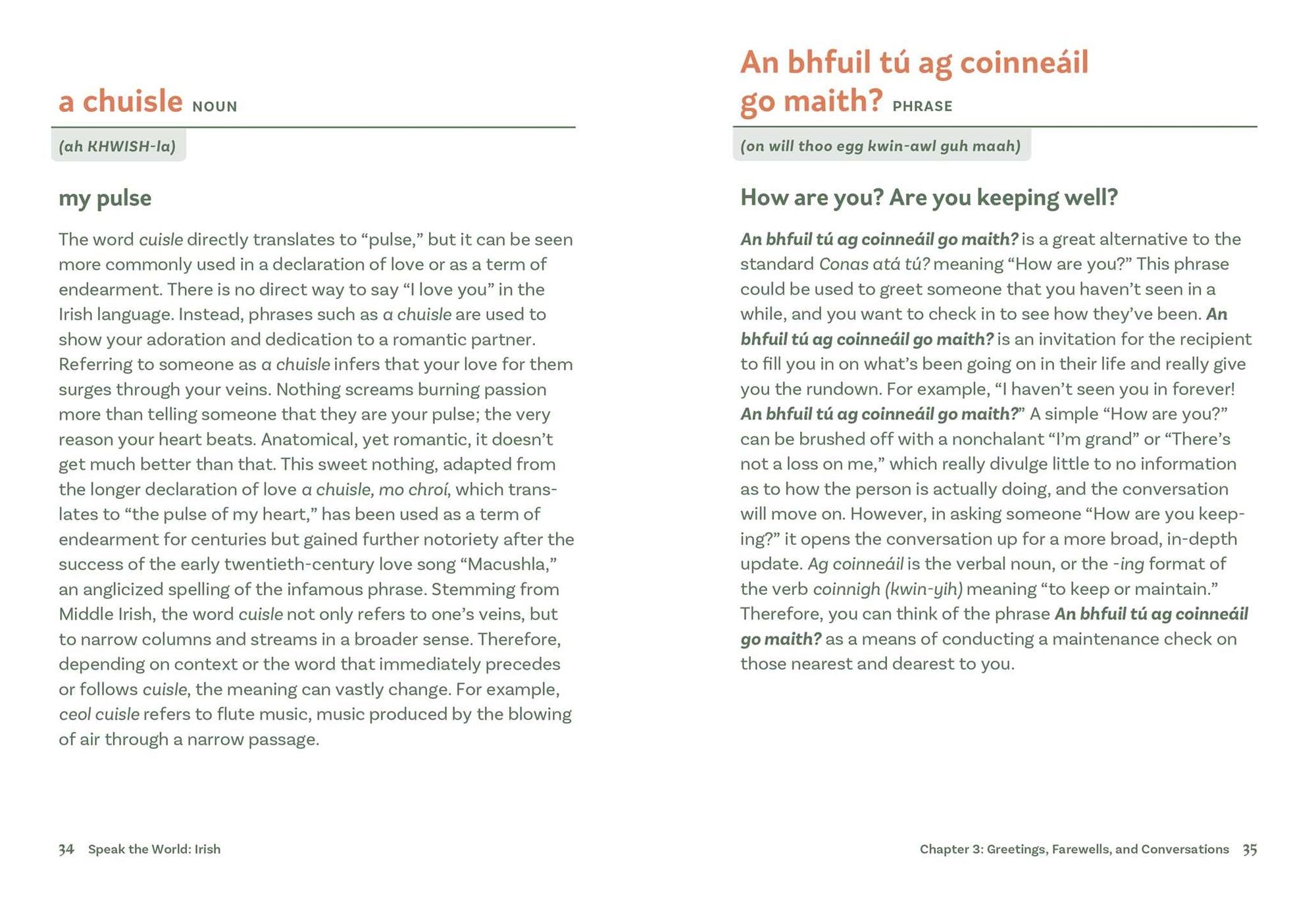 Irish: History & Culture Through Language