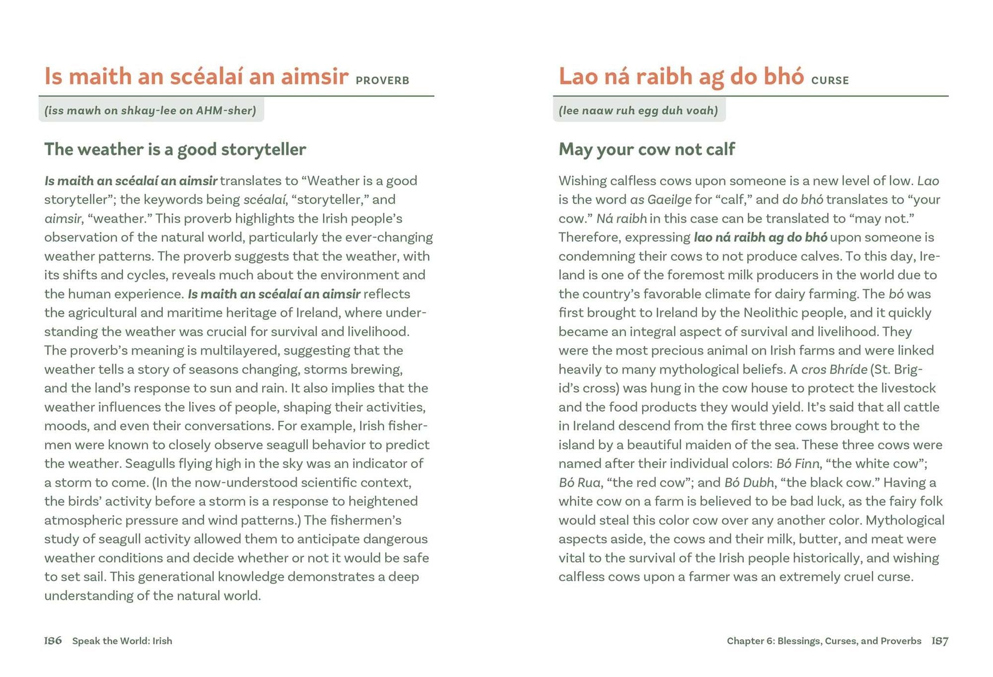 Irish: History & Culture Through Language
