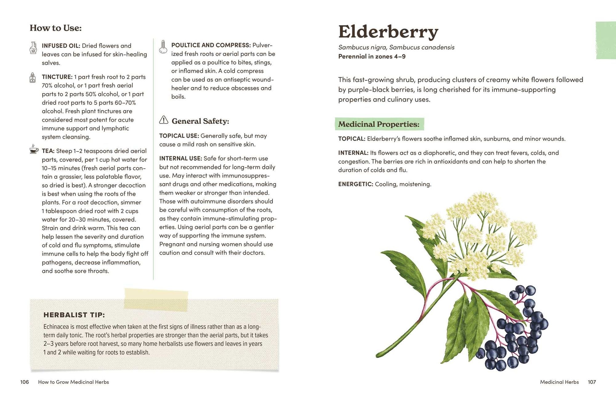 How to Grow Medicinal Herbs: An Illustrated Beginner's Guide to Growing, Harvesting, and Making Herbal Remedies at Home