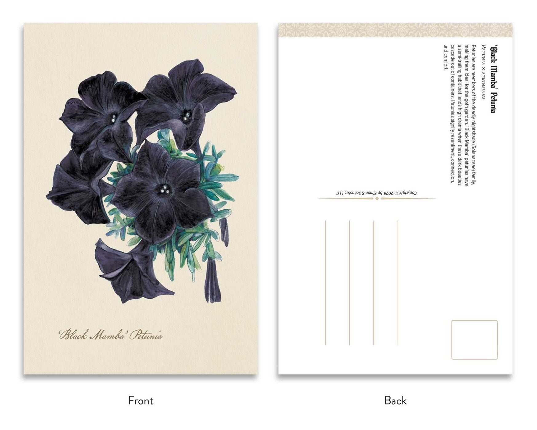 The Goth Garden: Dark Blooms: 50 Postcards Featuring the Mystery and Beauty of the Goth Garden