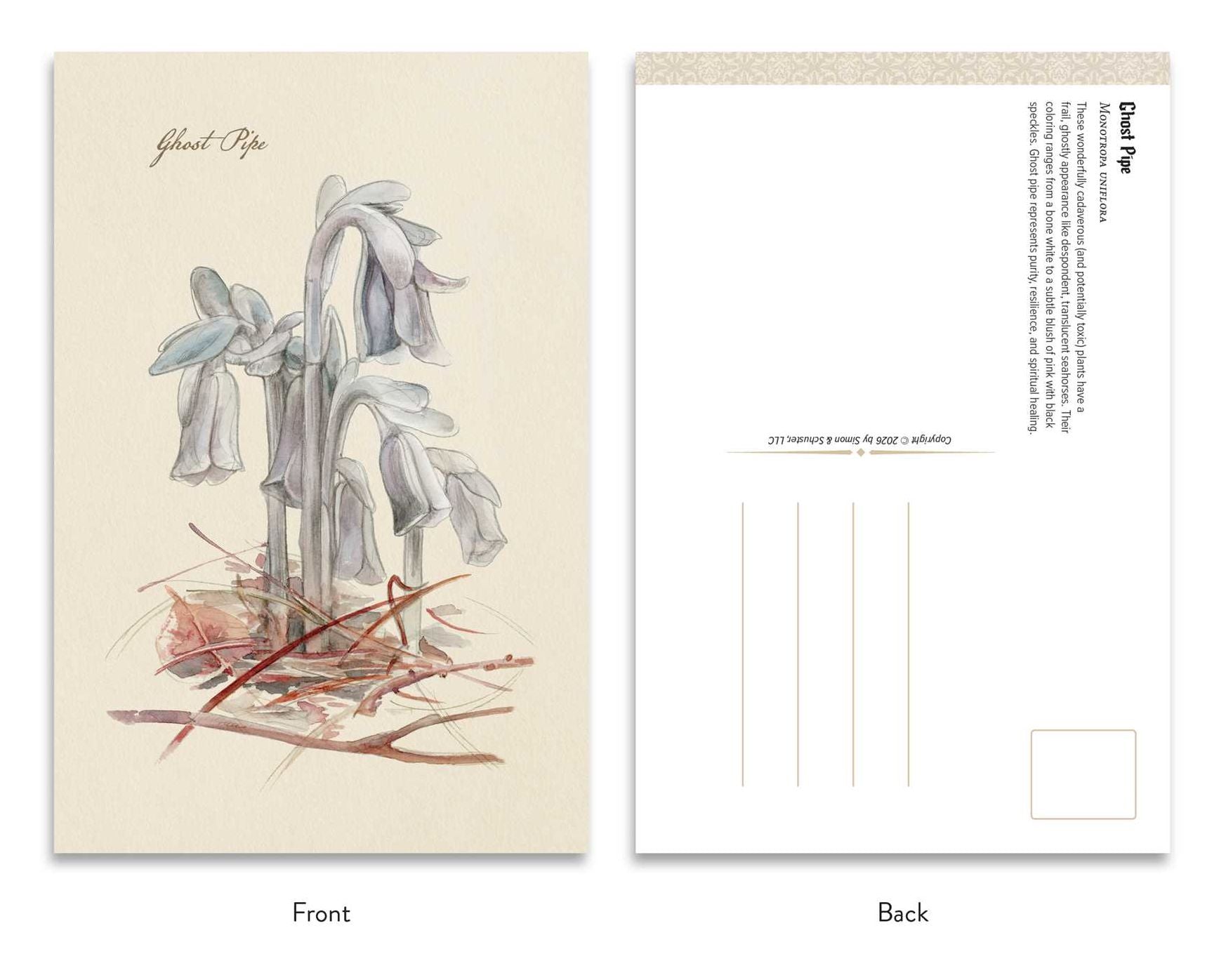 The Goth Garden: Dark Blooms: 50 Postcards Featuring the Mystery and Beauty of the Goth Garden