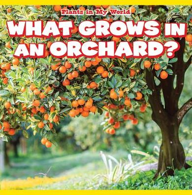 What Grows in an Orchard?