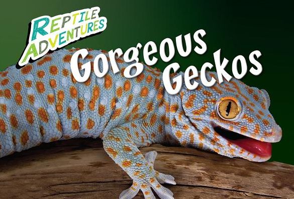 Gorgeous Geckos