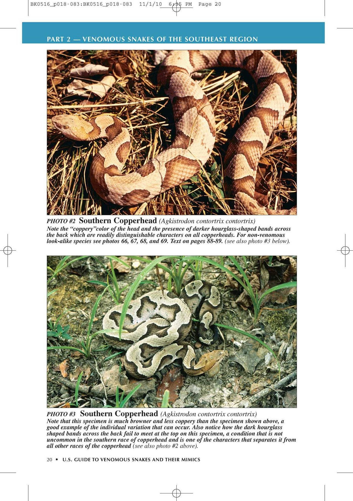 U.S. Guide to Venomous Snakes and Their Mimics
