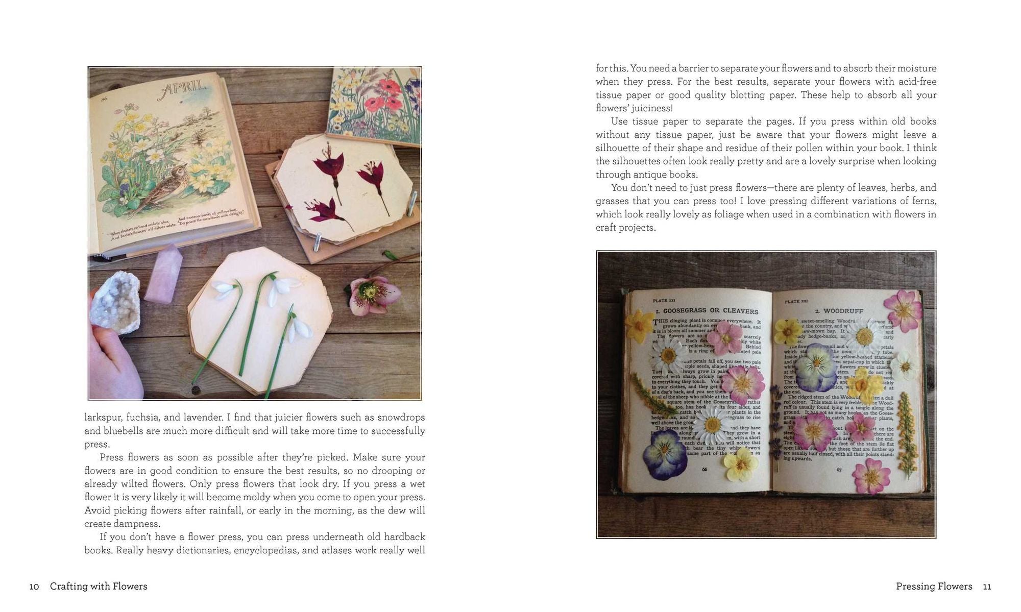 Crafting with Flowers: Pressed Flower Decorations, Herbariums, and Gifts for Every Season