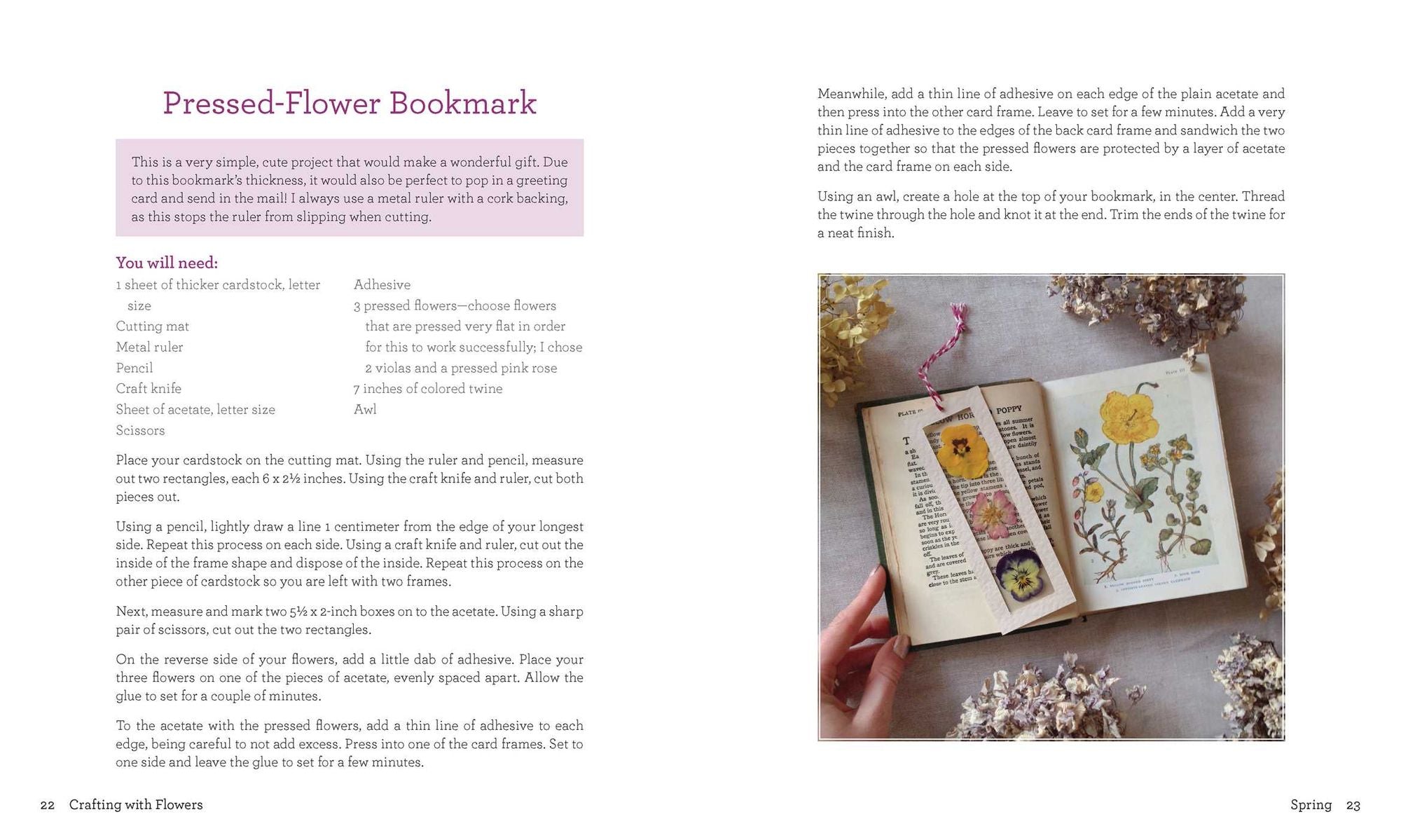 Crafting with Flowers: Pressed Flower Decorations, Herbariums, and Gifts for Every Season
