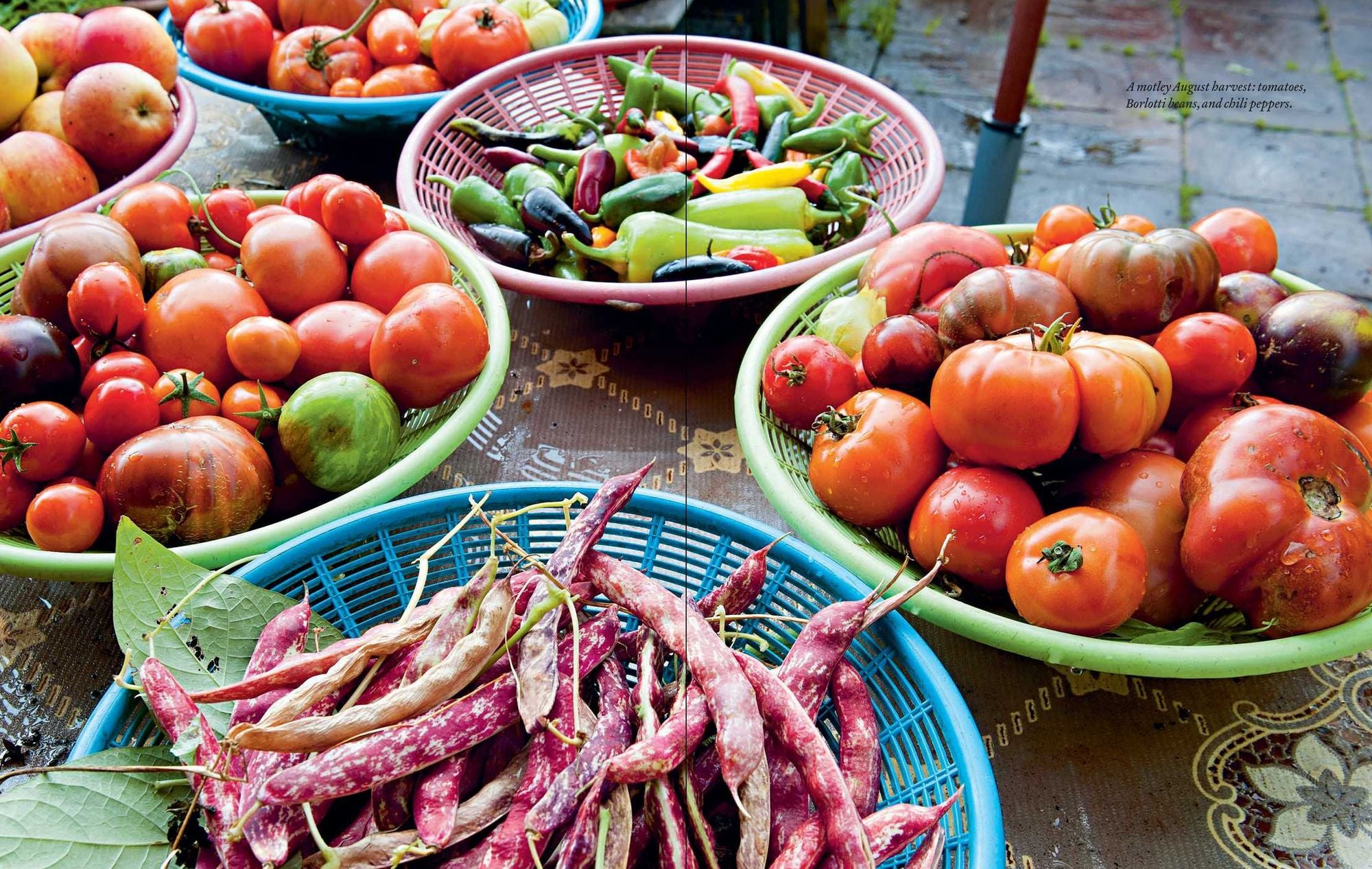 Year-Round Edible Gardening: Growing Vegetables and Herbs, Inside or Outside, in Every Season