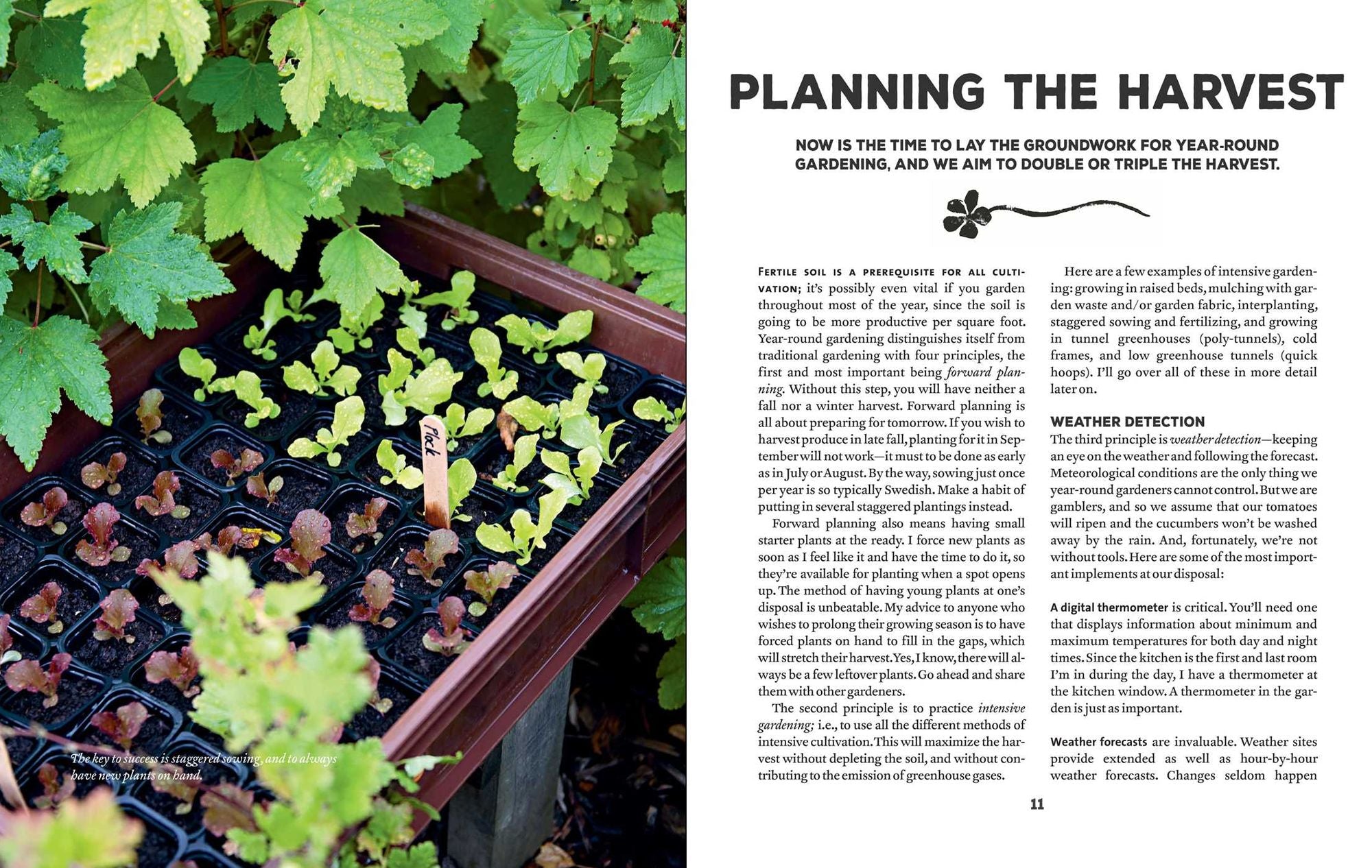 Year-Round Edible Gardening: Growing Vegetables and Herbs, Inside or Outside, in Every Season