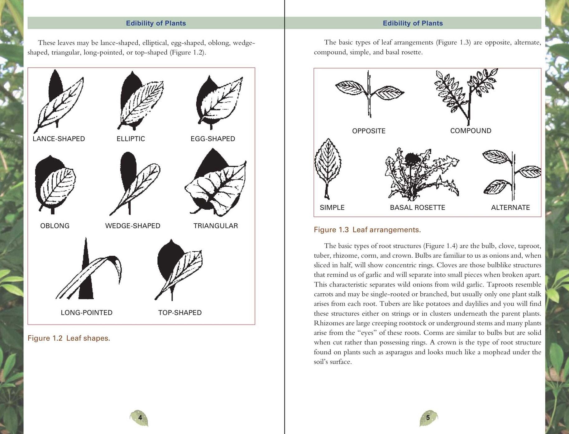 The Pocket Guide to Edible Wild Plants: How to Forage Safely and Responsibly