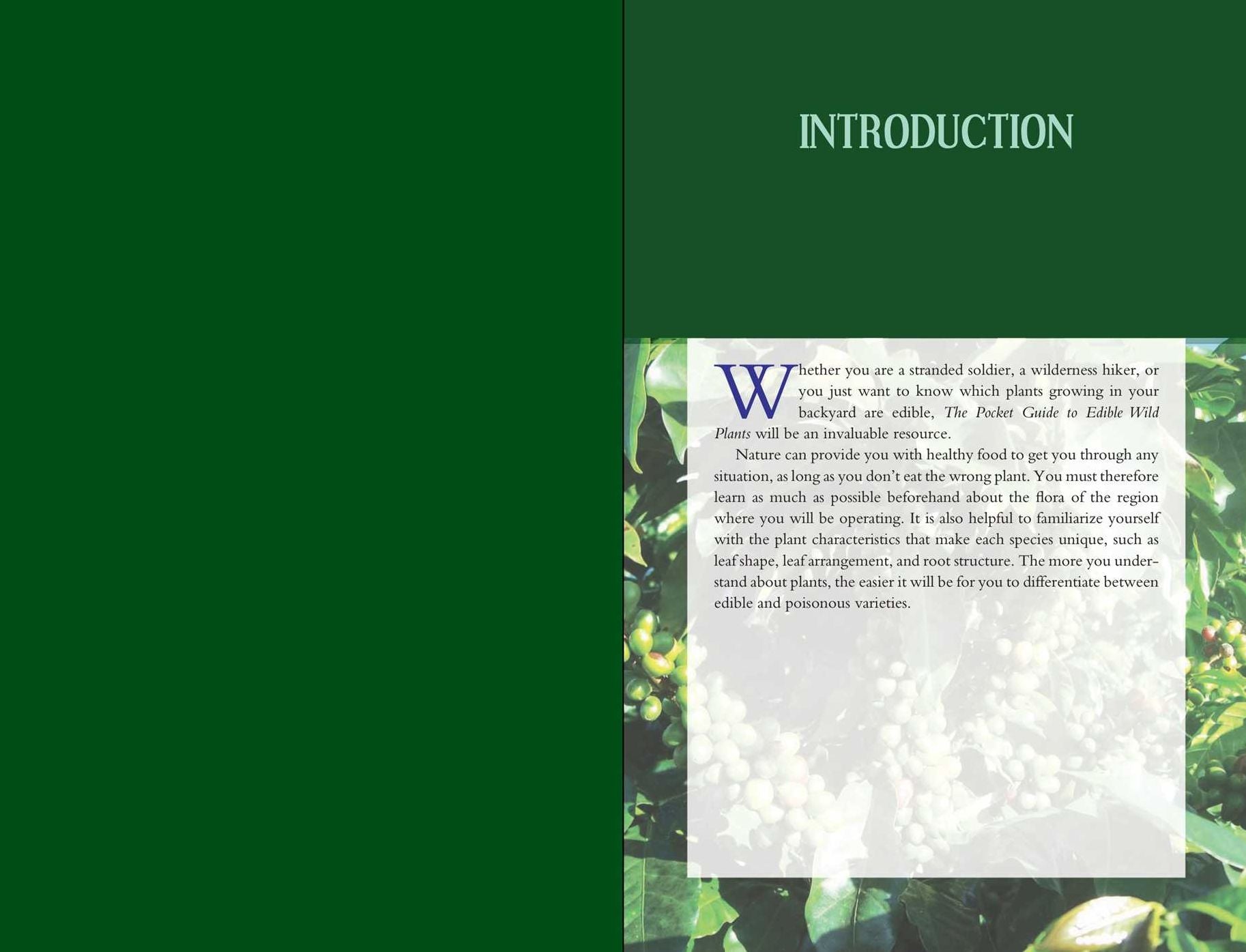 The Pocket Guide to Edible Wild Plants: How to Forage Safely and Responsibly