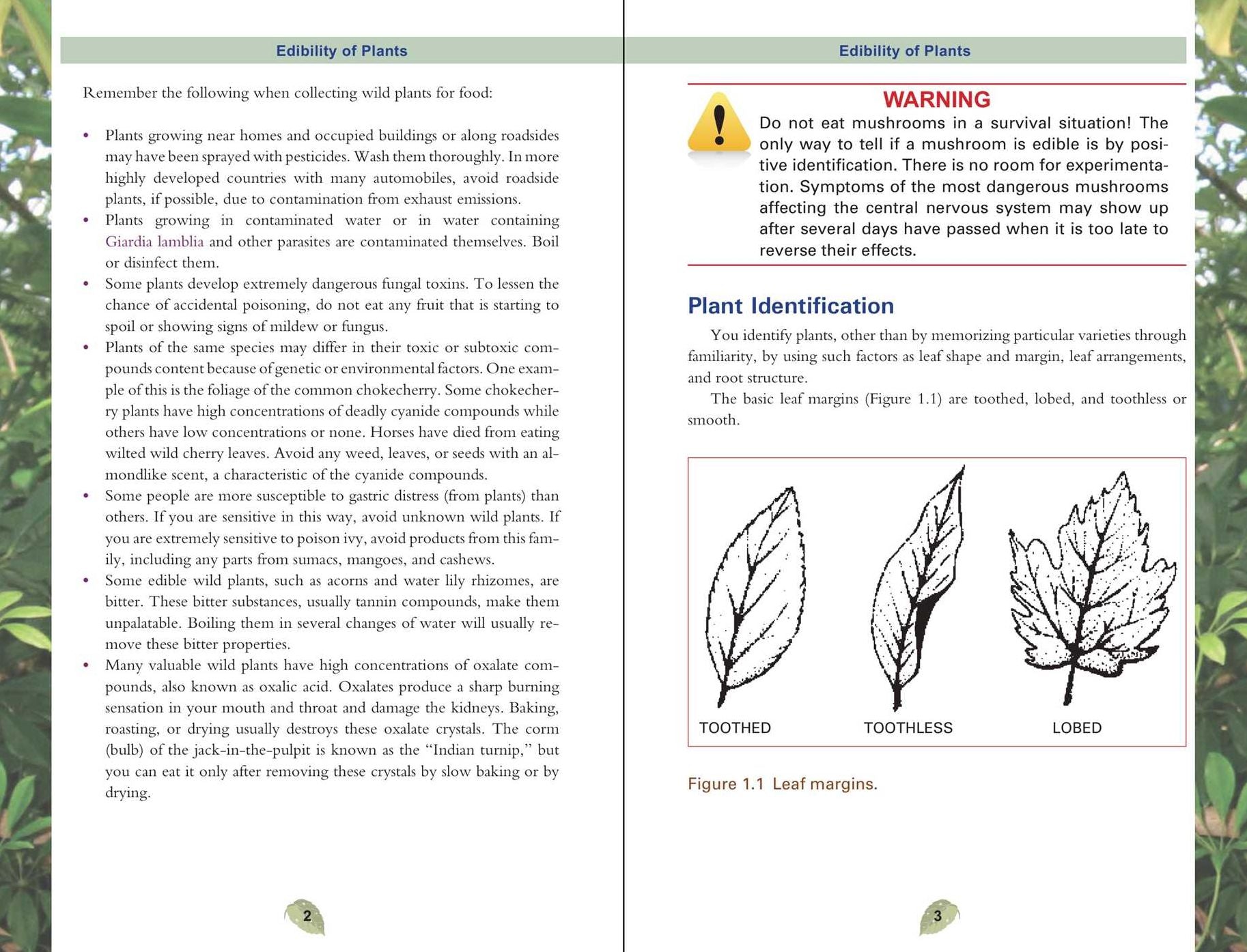 The Pocket Guide to Edible Wild Plants: How to Forage Safely and Responsibly