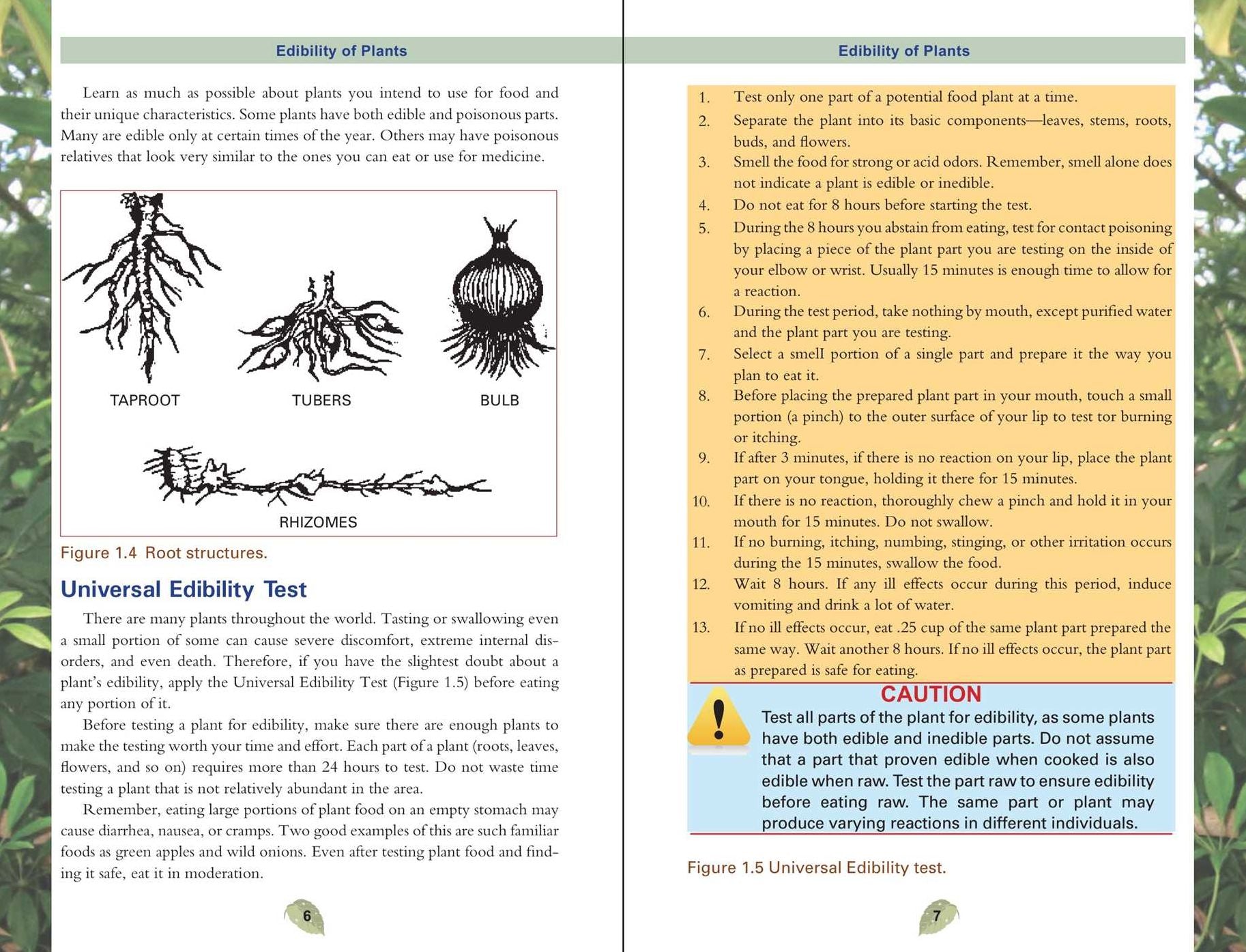 The Pocket Guide to Edible Wild Plants: How to Forage Safely and Responsibly