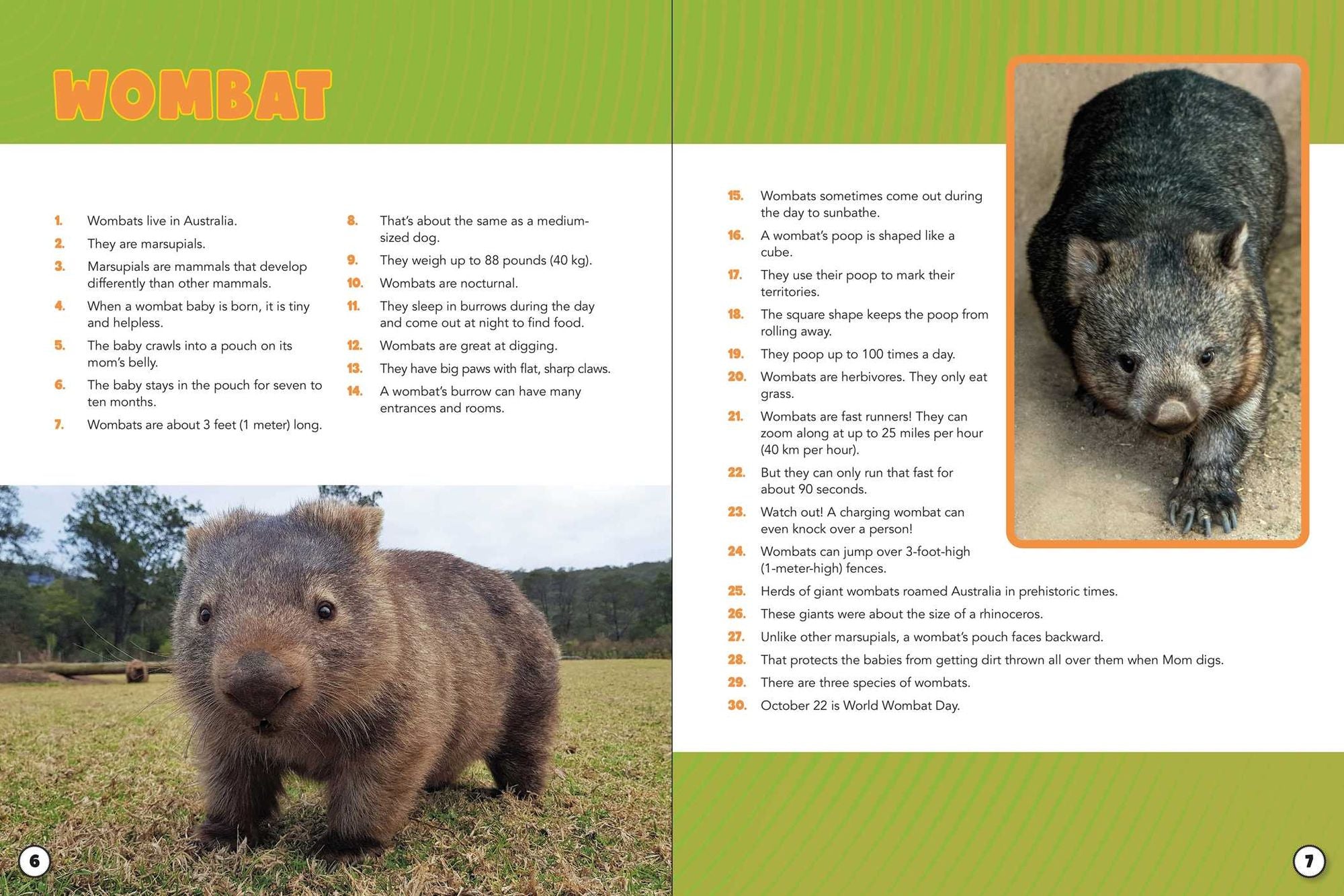 World Almanac Oddball Animals: 2,501 Fantastic Facts About the Weirdest, Wackiest, and Wildest Creatures on Earth
