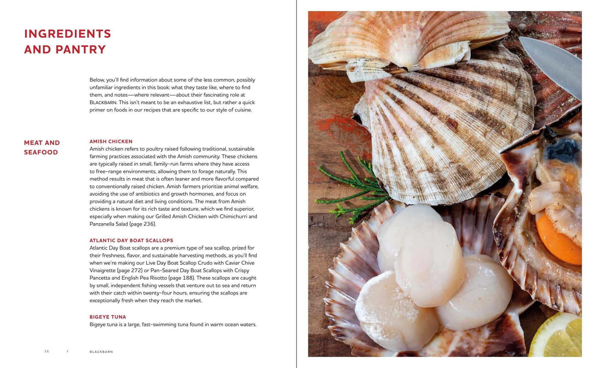 Blackbarn: Recipes from Our Kitchen to Yours