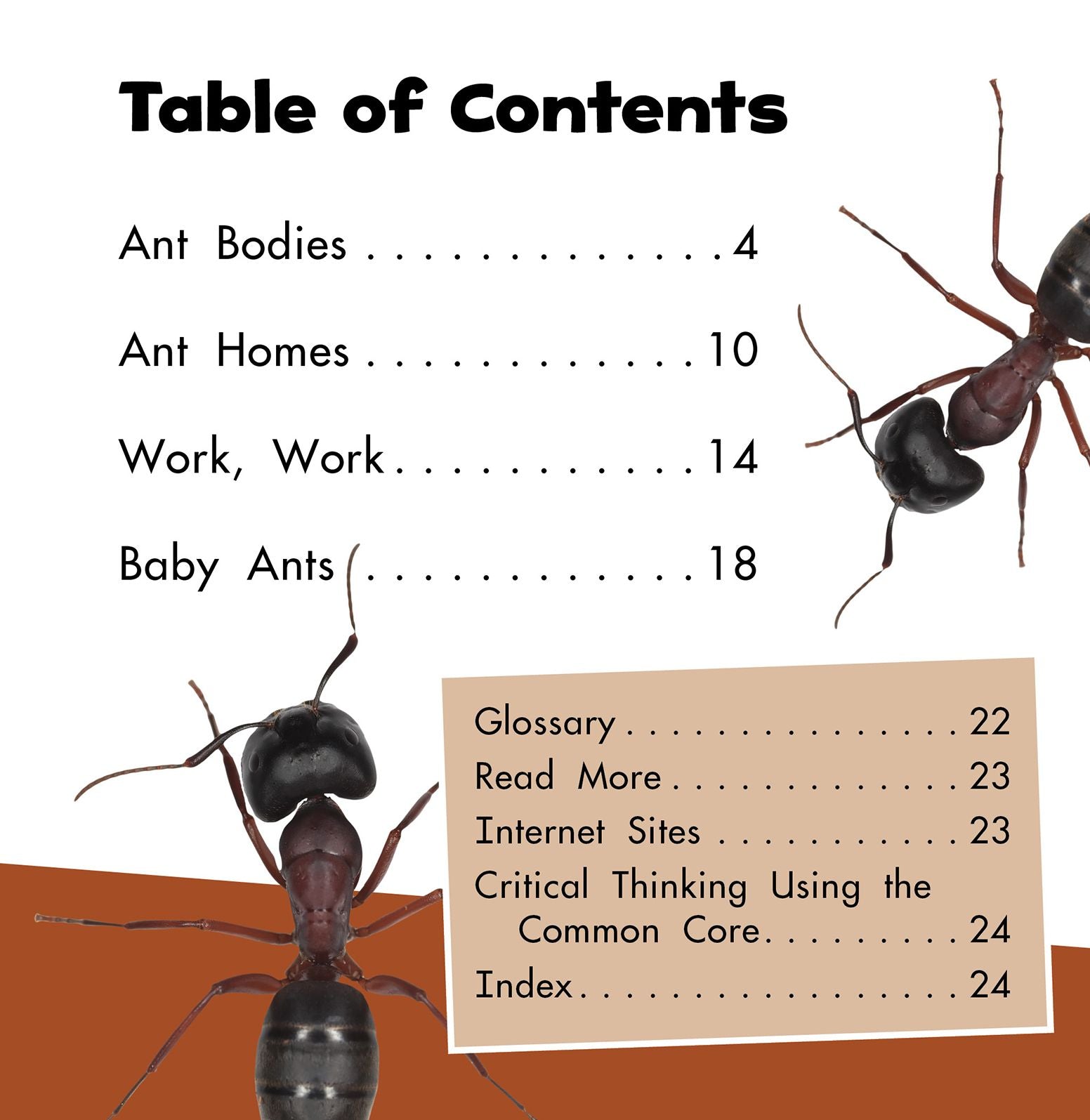 Ants