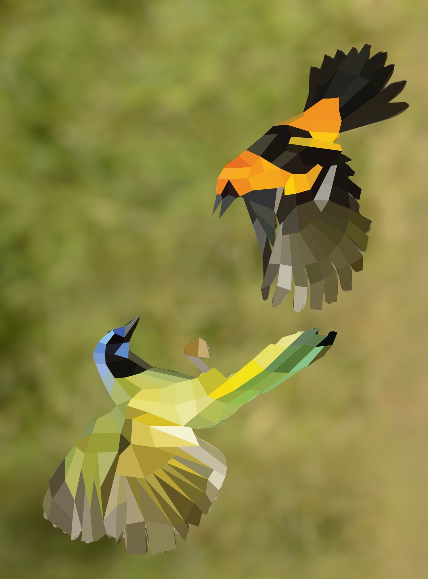 Paint by Sticker (Official): Birds: Create 12 Stunning Images One Sticker at a Time!