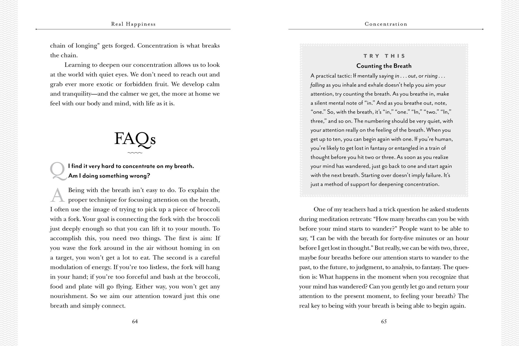 Real Happiness, 10th Anniversary Edition: A 28-Day Program to Realize the Power of Meditation