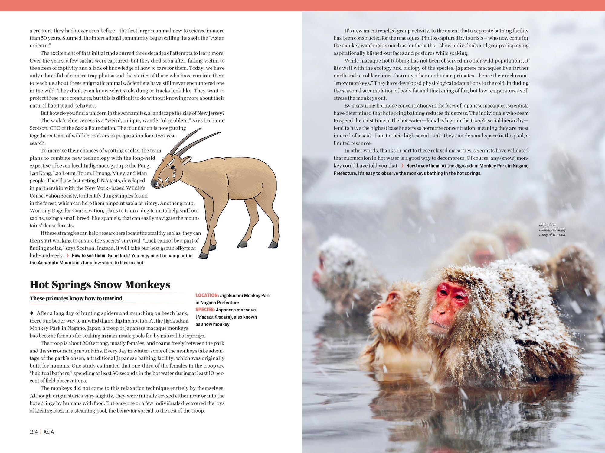 Atlas Obscura: Wild Life: An Explorer's Guide to the World's Living Wonders