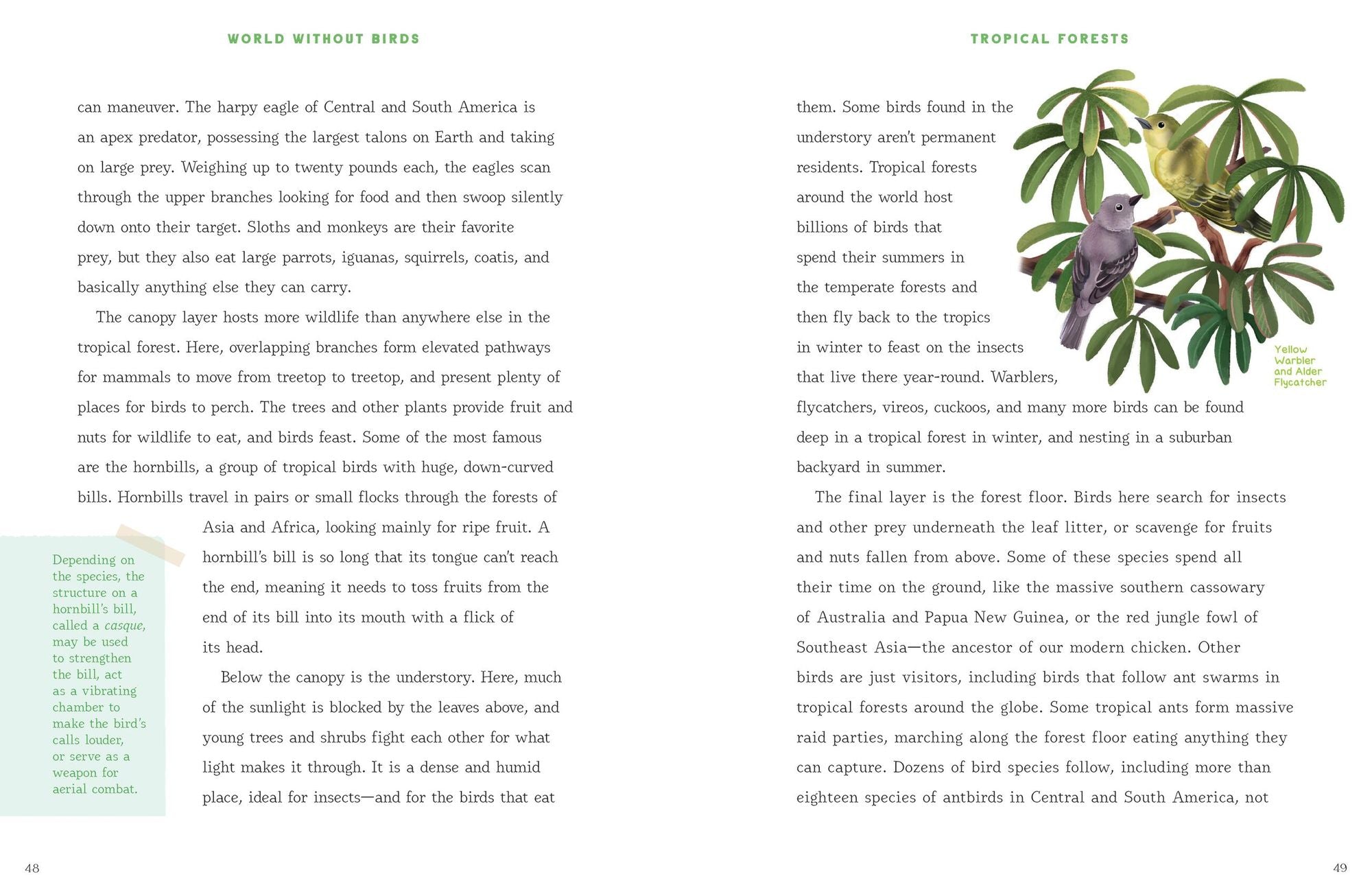 World Without Birds: How to Save Our Planet, One Bird at a Time