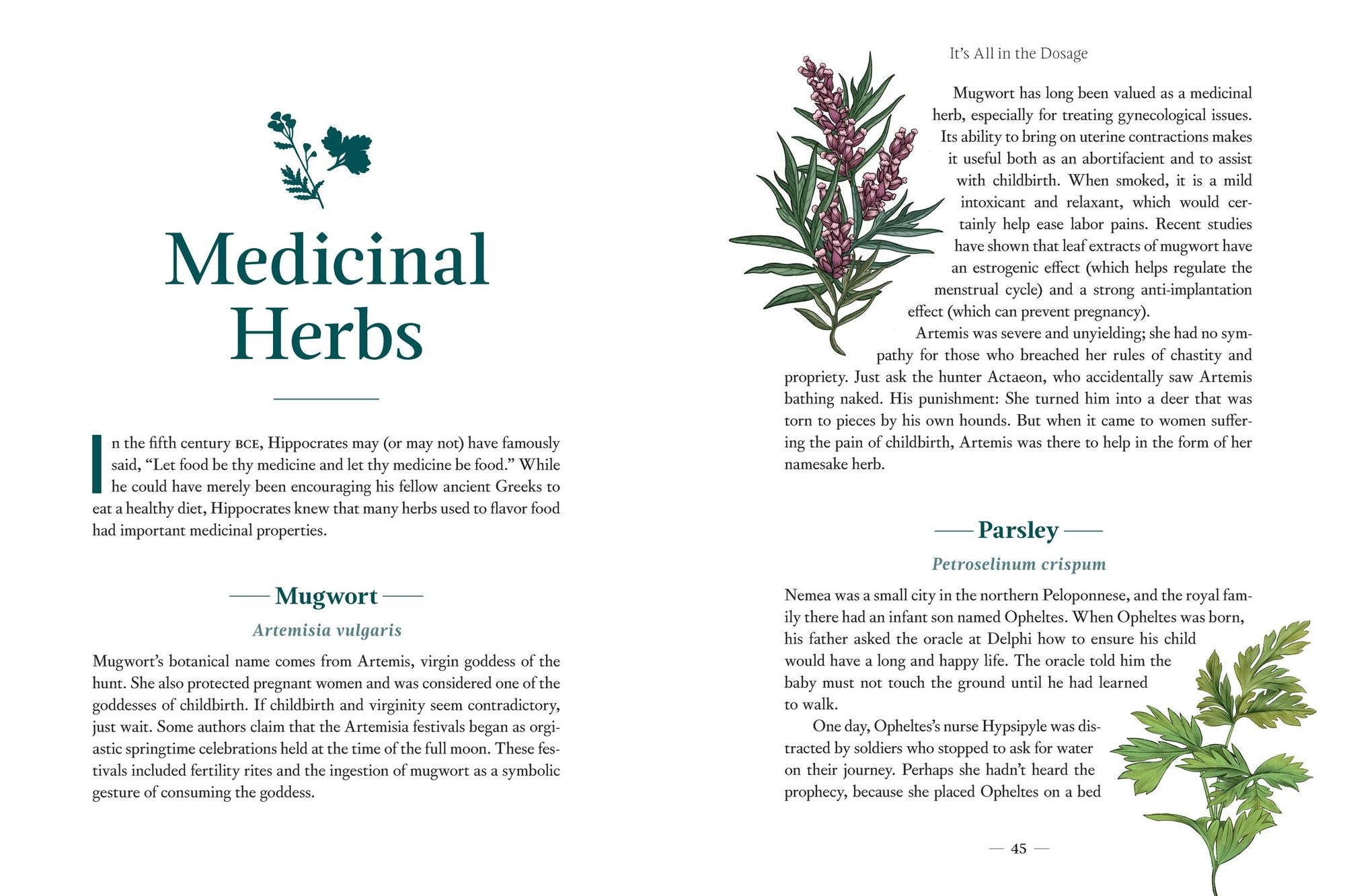 Mythic Plants: Potions and Poisons from the Gardens of the Gods